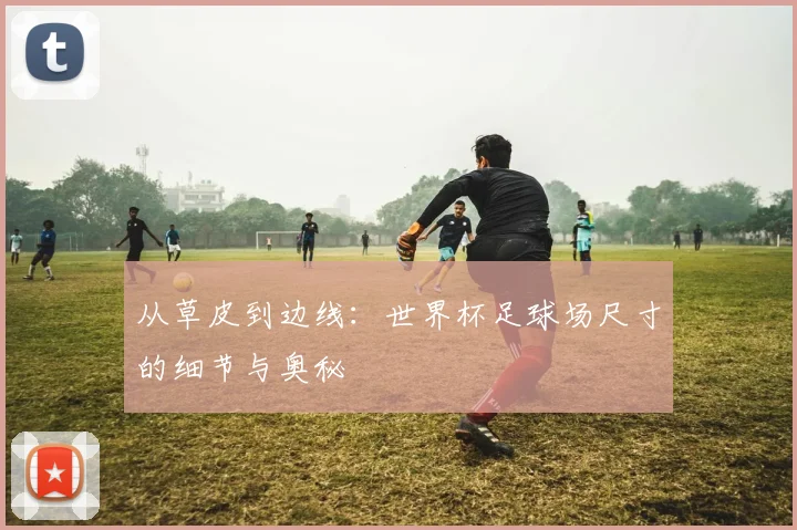从草皮到边线：世界杯足球场尺寸的细节与奥秘
