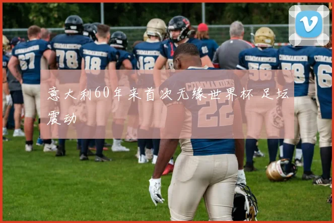 意大利60年来首次无缘世界杯 足坛震动